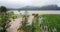 Paddy fields and flooded Mulshi backwaters near Tamhini Ghats Maharashtra during monsoon season
