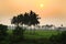 Paddy fields landscape in Andhra pradesh