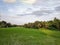 Paddy plant on large rural field