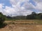 Paddyfield with a beautiful sky