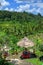 Padi Terrace, Bali, Indonesia - Local plantation of the layered rice terrace in Bali Island, Indonesia