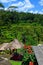 Padi Terrace, Bali, Indonesia - Local plantation of the layered rice terrace in Bali Island, Indonesia