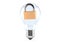 Padlock inside light bulb