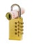 Padlock money isolated