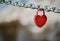 Padlock in shape of heart