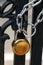 Padlock and strong steel chain wrapped around the metal entrance gate