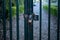 Padlock suspended by chains, entrance fence