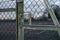 Padlocked gates of a tennis court at a local park during lockdown