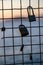 Padlocks locked on to a fence near the ocean during sunset