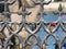 Padlocks or love locks affixed to a old metal fence in Prague