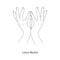 Padma Mudra / Gesture of Lotus. Vector