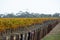 Padthaway Wine Region