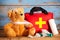 Paediatric healthcare concept with a teddy bear