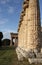 Paestum Columns of the temple