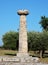 Paestum - Doric column