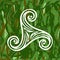 Pagan celtic symbol triskele on green grass background