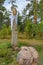 Pagan idols in autumn forest, Karelia