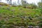 Pagan idols in autumn forest, Karelia