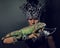 Pagan priest in ritual suit with green iguana