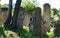 Pagan Tombstone in the village of Rajac, near Negotin, Serbia