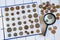 Page of numismatics album with different coins on a white wooden table