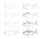 Page shows how to learn to draw sketch a game fish tuna. Pencil drawing lessons. Educational page for artists. Textbook for