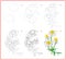 Page shows how to learn to draw step by step flower of chamomile. Developing children skills for drawing and coloring.