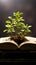 Pages of a book become the fertile soil for a thriving green plant