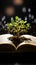 Pages of a book become the fertile soil for a thriving green plant