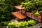 Pagoda in a Beautiful Garden at Monte above Funchal Madeira