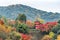 Pagoda in Buddhist temple with colorful autumn forest in Kyoto, Japan