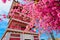 Pagoda japan style and Sakura flowers with blue sky background