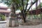 Pagoda at Kaiyuan Temple. a famous historic site in Quanzhou, Fujian, China.