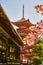 A pagoda, a pavilion and cherry blossom