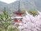 Pagoda in the rain