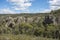 Pagoda rock in Blue Mountains national park