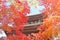 Pagoda seen through maple leaves in Kyoto