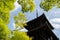 Pagoda of Shinnyo-do Temple with fresh verdure, Kyoto, Japan