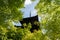 Pagoda of Shinnyo-do Temple with fresh verdure, Kyoto, Japan