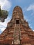 Pagoda at Wat Chaiwattanaram Temple