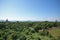 Pagodas of Bagan plain