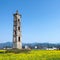 Pagodas and canola flower