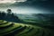 Pai, Maehongson, Thailand, layer of green rice farm with mountains and mist