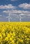 A paie of Wind Turbines under a blue, cloud-strewn sky