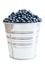 A pail full of freshly picked blueberries