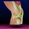 Pain, Injury and Inflammation, Knee Joint Pain Silhouette Icon Ache of Knee, Leg Skeleton, Arthritis, Osteoporosis and Bones Joint