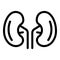 Pain kidney icon, outline style