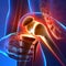 Pain Knee - Anatomy Rays