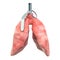 Pain in lungs, lungs disease concept. Human lungs as hand grenade. 3D rendering