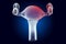 Pain in Uterus concept. Ghost light effect, x-ray hologram. 3D rendering